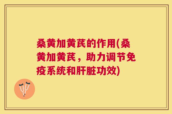 桑黄加黄芪的作用(桑黄加黄芪，助力调节系统和功效)