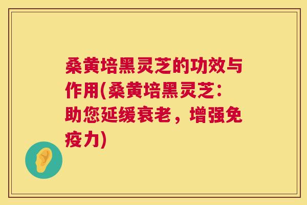 桑黄培黑灵芝的功效与作用(桑黄培黑灵芝：助您延缓，增强力)