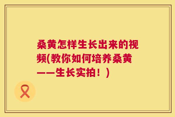 桑黄怎样生长出来的视频(教你如何培养桑黄——生长实拍！)