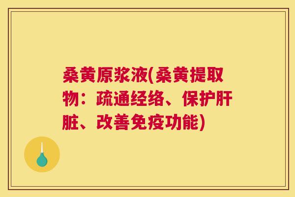 桑黄原浆液(桑黄提取物：疏通经络、保护、改善免疫功能)