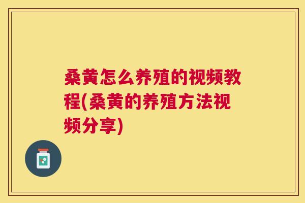 桑黄怎么养殖的视频教程(桑黄的养殖方法视频分享)