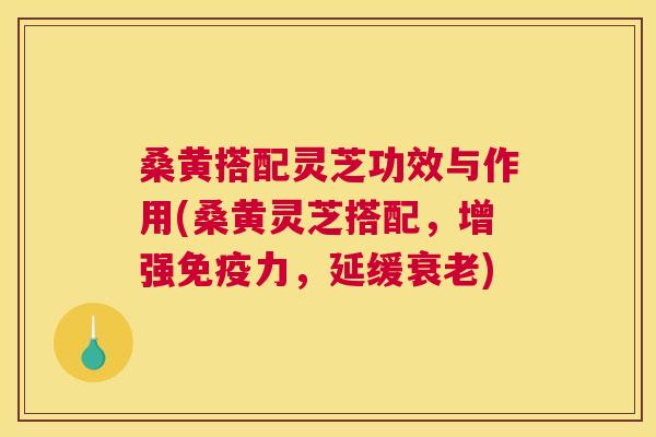 桑黄搭配灵芝功效与作用(桑黄灵芝搭配，增强力，延缓)