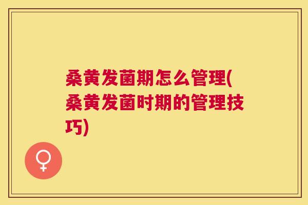 桑黄发菌期怎么管理(桑黄发菌时期的管理技巧)