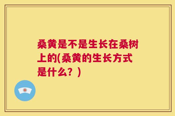 桑黄是不是生长在桑树上的(桑黄的生长方式是什么？)