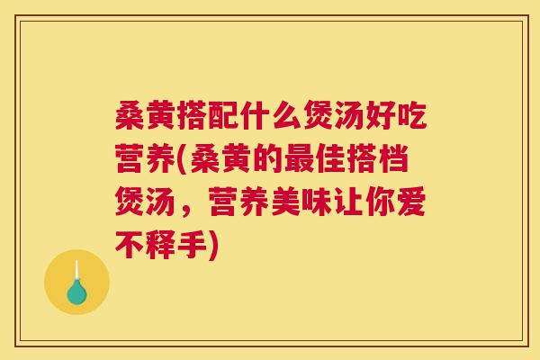 桑黄搭配什么煲汤好吃营养(桑黄的佳搭档煲汤，营养美味让你爱不释手)