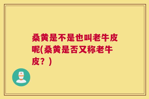 桑黄是不是也叫老牛皮呢(桑黄是否又称老牛皮？)