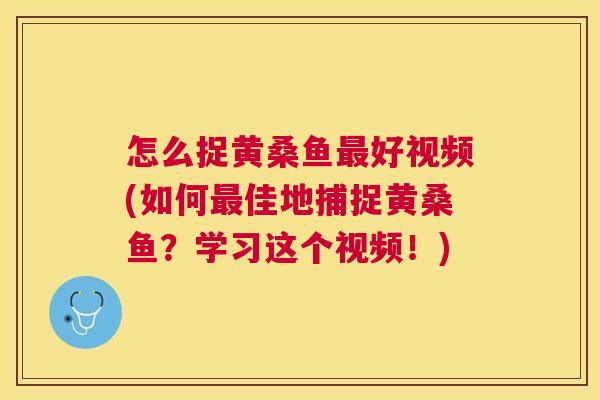 怎么捉黄桑鱼好视频(如何佳地捕捉黄桑鱼？学习这个视频！)