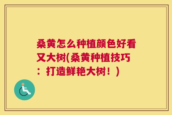 桑黄怎么种植颜色好看又大树(桑黄种植技巧：打造鲜艳大树！)