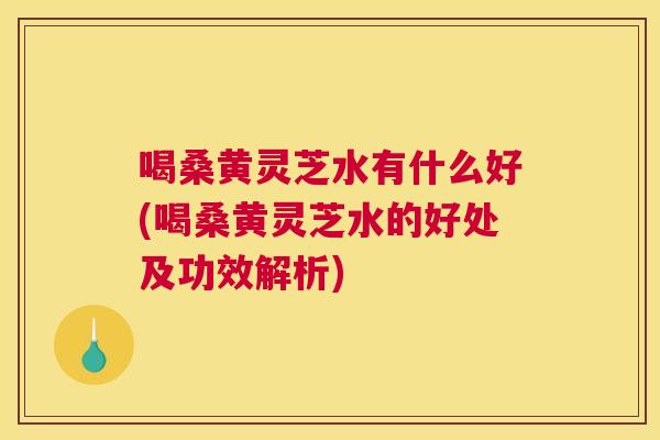 喝桑黄灵芝水有什么好(喝桑黄灵芝水的好处及功效解析)