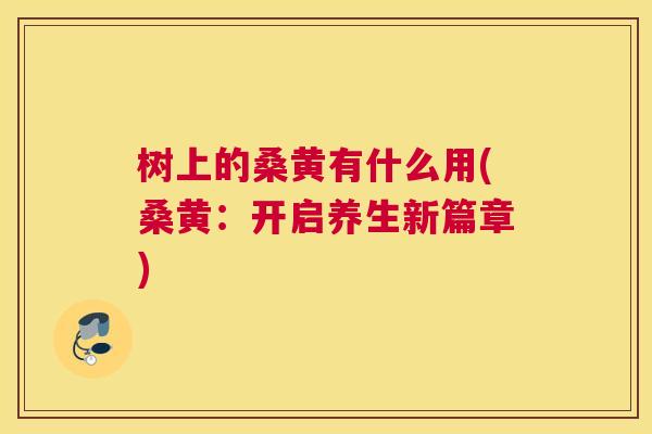 树上的桑黄有什么用(桑黄：开启养生新篇章)