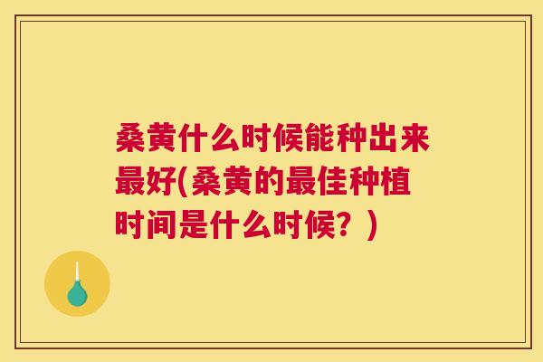 桑黄什么时候能种出来好(桑黄的佳种植时间是什么时候？)