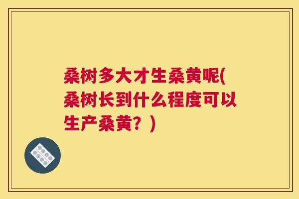 桑树多大才生桑黄呢(桑树长到什么程度可以生产桑黄？)
