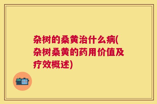 杂树的桑黄什么(杂树桑黄的药用价值及疗效概述)