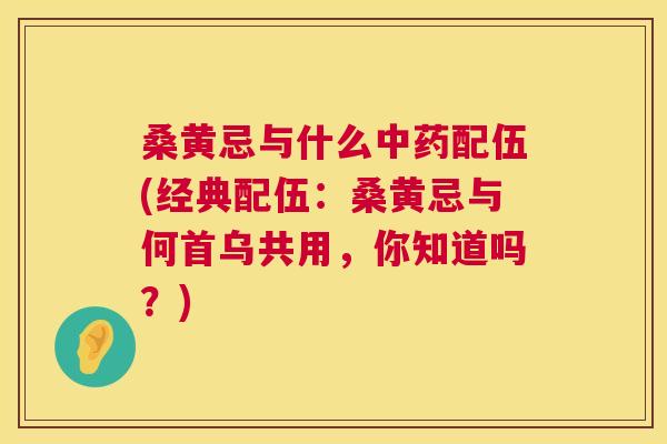桑黄忌与什么配伍(经典配伍：桑黄忌与何首乌共用，你知道吗？)
