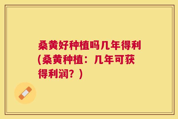 桑黄好种植吗几年得利(桑黄种植：几年可获得利润？)