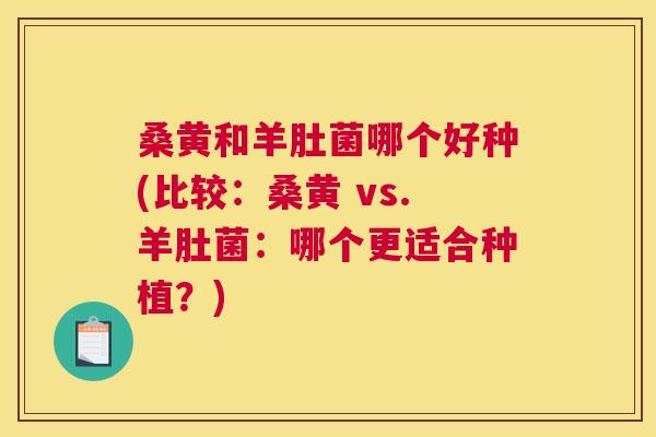 桑黄和羊肚菌哪个好种(比较：桑黄 vs.羊肚菌：哪个更适合种植？)