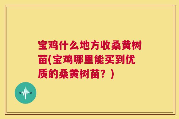 宝鸡什么地方收桑黄树苗(宝鸡哪里能买到优质的桑黄树苗？)