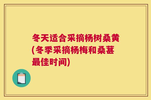 冬天适合采摘杨树桑黄(冬季采摘杨梅和桑葚佳时间)