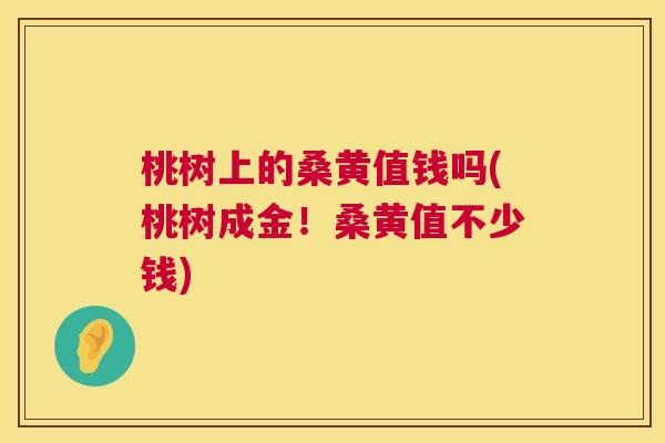 桃树上的桑黄值钱吗(桃树成金！桑黄值不少钱)