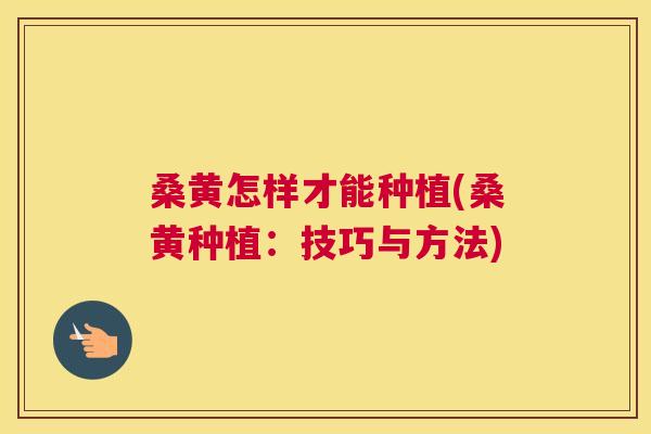 桑黄怎样才能种植(桑黄种植：技巧与方法)