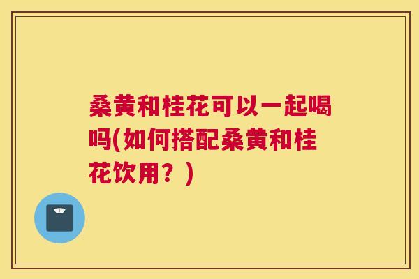 桑黄和桂花可以一起喝吗(如何搭配桑黄和桂花饮用？)