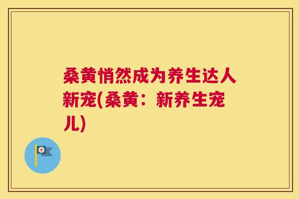 桑黄悄然成为养生达人新宠(桑黄：新养生宠儿)