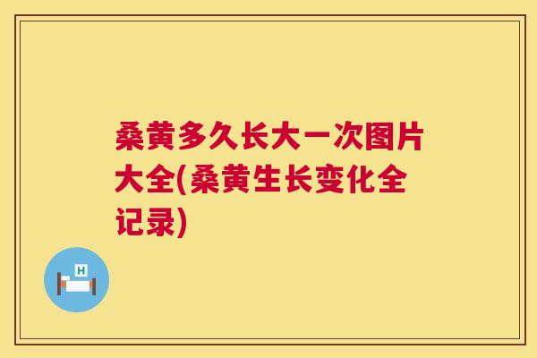 桑黄多久长大一次图片大全(桑黄生长变化全记录)