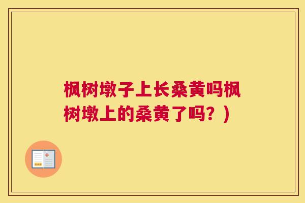 枫树墩子上长桑黄吗枫树墩上的桑黄了吗？)