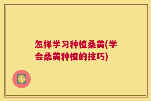 怎样学习种植桑黄(学会桑黄种植的技巧)