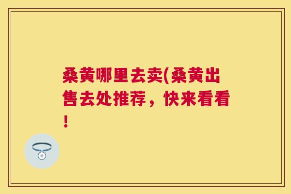 桑黄哪里去卖(桑黄出售去处推荐，快来看看！