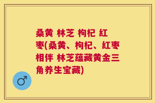 桑黄 林芝 枸杞 红枣(桑黄、枸杞、红枣相伴 林芝蕴藏黄金三角养生宝藏)