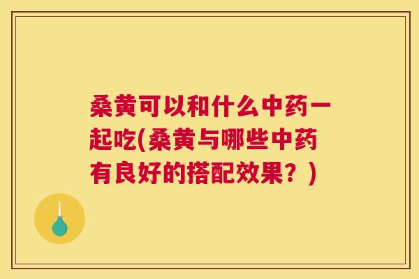 桑黄可以和什么一起吃(桑黄与哪些有良好的搭配效果？)