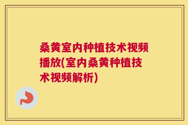 桑黄室内种植技术视频播放(室内桑黄种植技术视频解析)