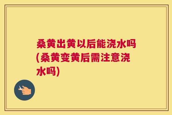 桑黄出黄以后能浇水吗(桑黄变黄后需注意浇水吗)