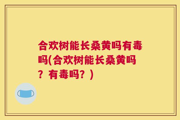 合欢树能长桑黄吗有毒吗(合欢树能长桑黄吗？有毒吗？)