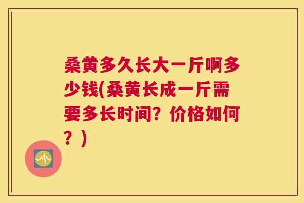 桑黄多久长大一斤啊多少钱(桑黄长成一斤需要多长时间？价格如何？)
