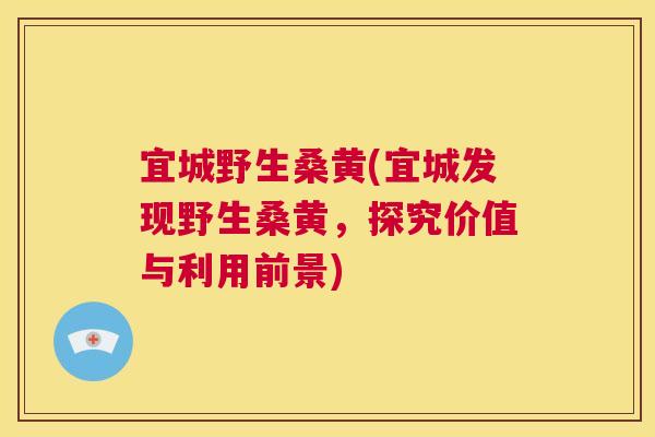宜城野生桑黄(宜城发现野生桑黄，探究价值与利用前景)