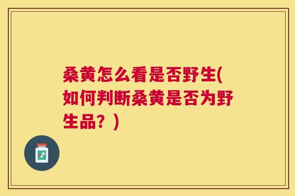 桑黄怎么看是否野生(如何判断桑黄是否为野生品?) 桑黄怎么看是否野生(如何判断桑黄是否为野生品?)