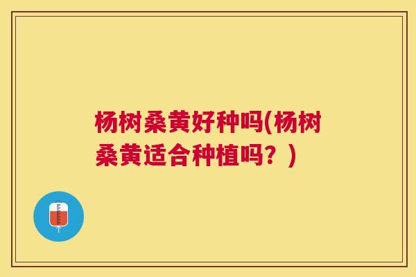 杨树桑黄好种吗(杨树桑黄适合种植吗？)