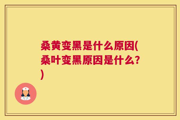 桑黄变黑是什么原因(桑叶变黑原因是什么？)