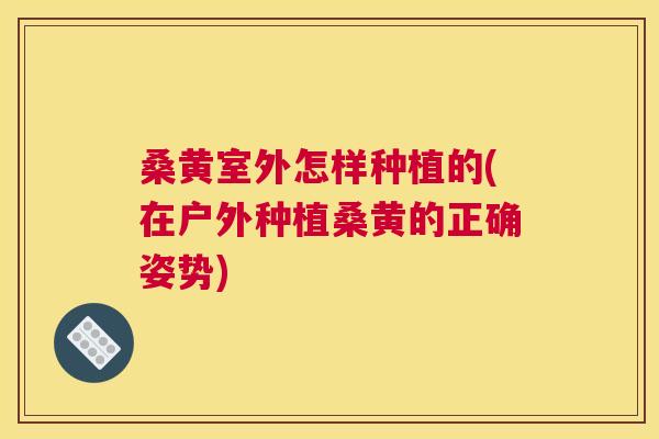 桑黄室外怎样种植的(在户外种植桑黄的正确姿势)