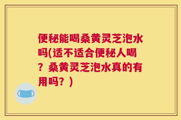 能喝桑黄灵芝泡水吗(适不适合人喝？桑黄灵芝泡水真的有用吗？)
