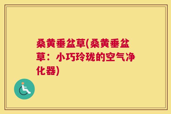 桑黄垂盆草(桑黄垂盆草：小巧玲珑的空气净化器)
