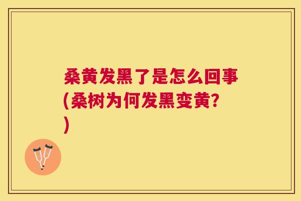 桑黄发黑了是怎么回事(桑树为何发黑变黄？)