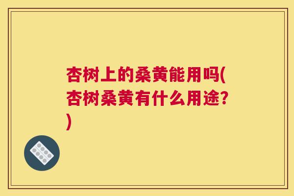 杏树上的桑黄能用吗(杏树桑黄有什么用途？)