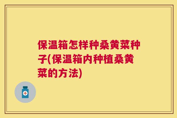 保温箱怎样种桑黄菜种子(保温箱内种植桑黄菜的方法)