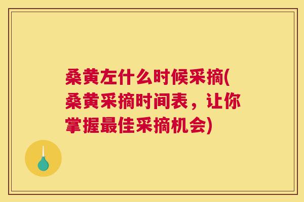 桑黄左什么时候采摘(桑黄采摘时间表，让你掌握佳采摘机会)