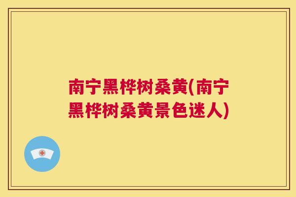 南宁黑桦树桑黄(南宁黑桦树桑黄景色迷人)