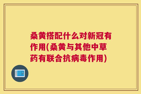 桑黄搭配什么对新冠有作用(桑黄与其他中草药有联合抗作用)