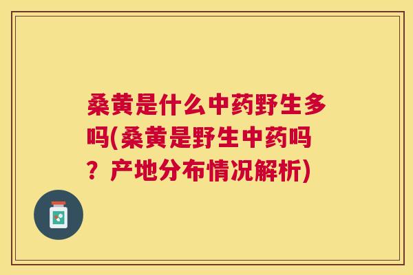 桑黄是什么野生多吗(桑黄是野生吗?产地分布情况解析) 桑黄是什么野生多吗(桑黄是野生吗?产地分布情况解析)